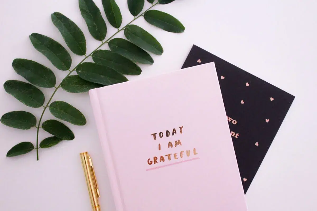 Exploring the 13 Reasons Why You Should Journal Everyday?